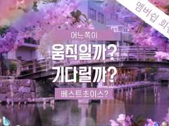 🌸 기다릴까? 움직일까? 어느쪽이 베스트? #004