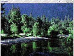 필사筆寫[必死]하다