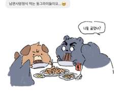 갑타 백업