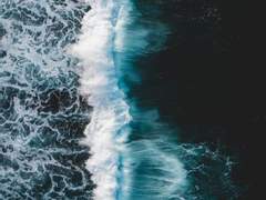 焦星우진 이야기¿