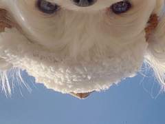 이쪽 커뮤니티에서 인플루언서를 만나다8