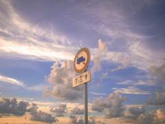 다이빙: 사랑의 성장통 (2)