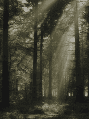 유일무이(唯一無二)