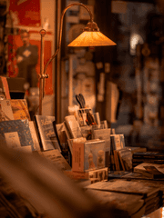 셉페스 글 모음