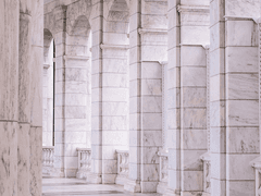 자캐동맹 백업 ~ 23.08.18