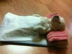 좋은 하루 되셨나요?