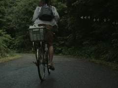 매미가 울지 않는 여름