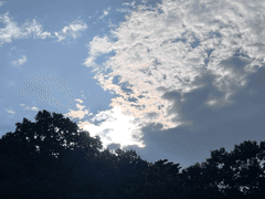 [프제로,반다새인]단 하나의 동아줄 3