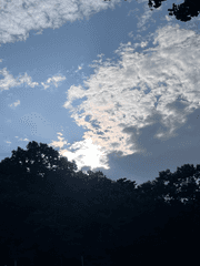 [프제로, 반다새인]단 하나의 동아줄