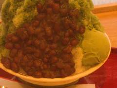 D+178 새로운 한국인 룸메가 도착했다