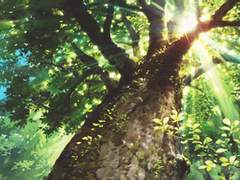 원신 드림주 • 몬드편