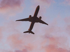 Jacksie : 어느 날의 기억