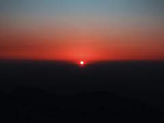 새벽의 별빛은 하얗게 바스라지고,