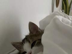 핫바 하나 음료수 하나