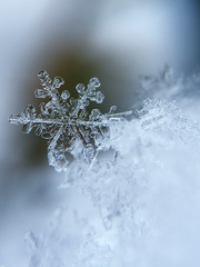 시린 겨울 지나