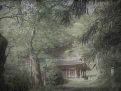 인외인간 타로 백업