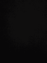 x사이버스페이스 버그 헌터x