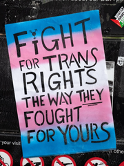 트랜지션(기타)