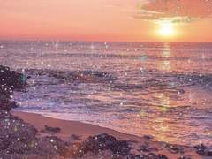 say the magic words 上