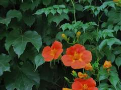 [해상산영] 작전명 낭-만!