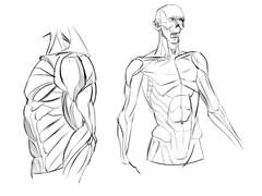 2023년 8월 19일 (토) <해부학>