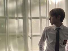 눈은 열심히 내리고