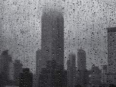 언젠간 사라질 센티넬물 1