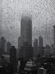 언젠가는 없어질 센티넬물