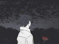 미확인의 감정선