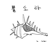 뿔소라