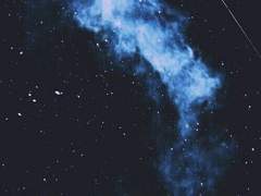 별들은 아무리 오래봐도 질리지 않는다