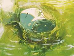 돈디에고 로그 백업