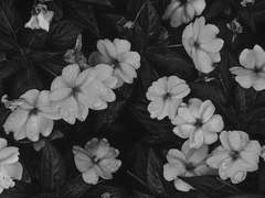 현실에서 보내는 질문