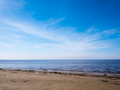 [레이마스 합작] 백금 랑데부