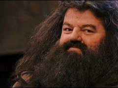 그리핀도르에서 살아남기! 11