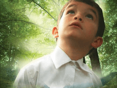 2D58) 허니 (Honey, 2010)