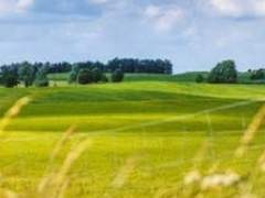 시골이야기!(2화)