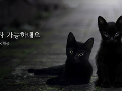 [대협태웅] 합사 가능하대요