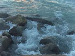 듣고팠던 짤막한 말들