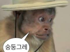 오전반 드림주와 오후반 태섭이 썰