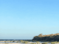 격주간 솜의일상 안내