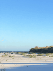 격주간 솜의일상