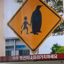 메로나색형광운동화