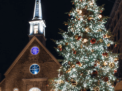 1년 후...愛 (下)