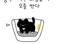 화장실 벽에 싼다