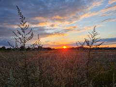 [다자츄] 예쁜 쓰레기 (중)