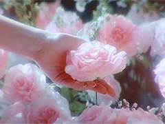 악몽의 끝에서 3주년 특별편