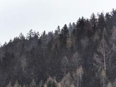 🌫 잿빛의 그리움