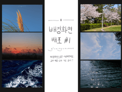 배경화면 배포 #1