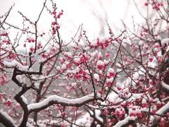 우리의 관계에 대해서 말하자면